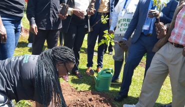 safcom_uok_tree_planting